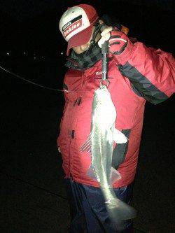 和田 強風の中でもルアーでシーバス3本キャッチ