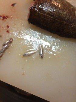 舞洲のポイントでメバリング、表層～中層で乗りました。