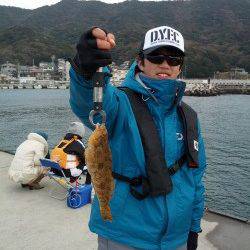 小島へ釣行。アイナメ・ガシラ・メバルの釣果