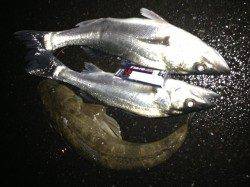 犬見方面でルアー釣り、シーバス・マゴチに有効なのは？