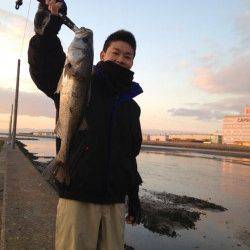 汐見埠頭 ルアーでシーバス1本ゲット☆