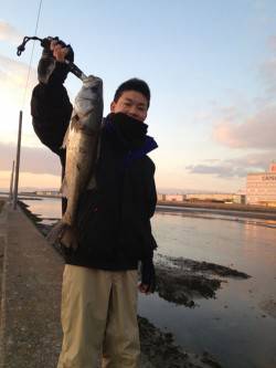 汐見埠頭 ルアーでシーバス1本ゲット☆