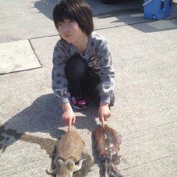 すさみ港でヤエン、アオリとコウイカの釣果