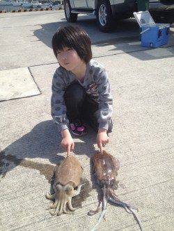 すさみ港でヤエン、アオリとコウイカの釣果