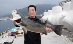 1投目で大物ヒラスズキが！！すさみでのませ…