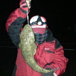 犬見方面でルアー釣り、シーバス・マゴチに有効なのは？