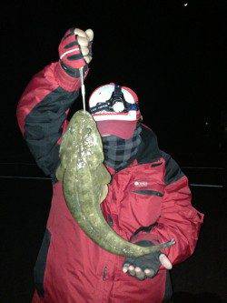 犬見方面でルアー釣り、シーバス・マゴチに有効なのは？