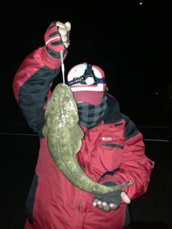 犬見方面でルアー釣り、シーバス・マゴチに有…