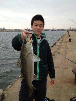 岸和田・貝塚エリアで岸際をリトリーブでヒット！