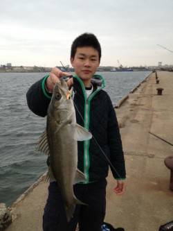 岸和田・貝塚エリアで岸際をリトリーブでヒッ…