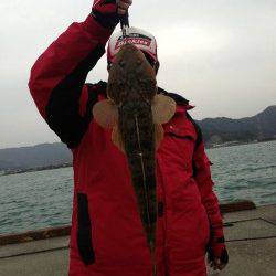 犬見～本郷 ルアーでマゴチ69cm!!