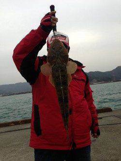 犬見～本郷 ルアーでマゴチ69cm!!