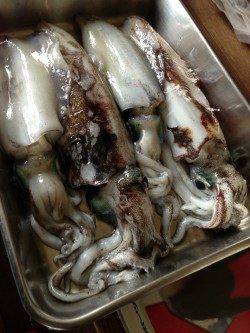 紀伊大島、エギング！〜周りでもヤエンで釣れていました〜