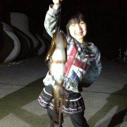 すさみ港でヤエン、アオリとコウイカの釣果