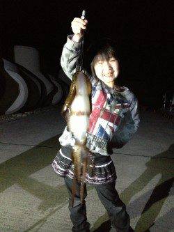 すさみ港でヤエン、アオリとコウイカの釣果