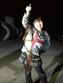 すさみ港でヤエン、アオリとコウイカの釣果