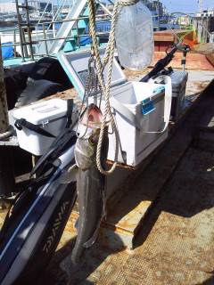 沖の北でもハネ好釣♪　50cmオーバーも♪