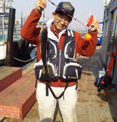 岸和田一文字 シラサ使用のハネ釣りはいぜん好調