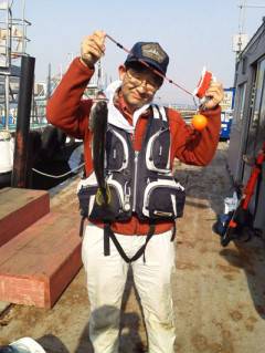 岸和田一文字 シラサ使用のハネ釣りはいぜん…