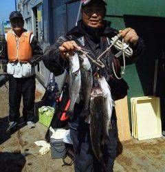 岸和田午前の沖の北でのウキ釣り、ハネ好調キープ！