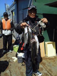 岸和田午前の沖の北でのウキ釣り、ハネ好調キ…