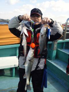 中波止でシラサを使ってウキ釣り、チヌ☆ハネ