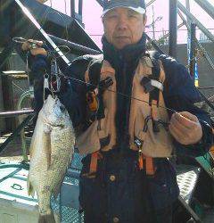 しらさの浮き釣りでキビレ40cm♪