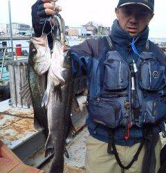 旧の赤灯台・旧の白灯台、午前のハネの釣果☆