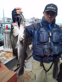 旧の赤灯台・旧の白灯台、午前のハネの釣果☆…