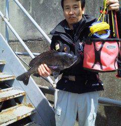 旧の赤灯台で落とし込み　47cmのチヌ釣れました！