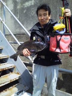 旧の赤灯台で落とし込み　47cmのチヌ釣れ…