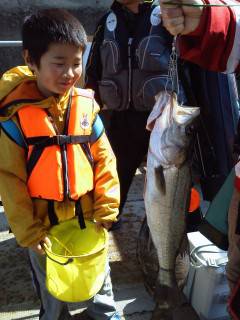 【30日】旧の白灯台の釣果情報・74cmのスズキの姿も♪