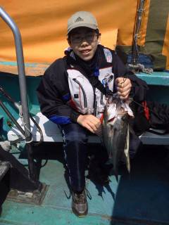 沖の北で親子でハネ釣り♪　5匹釣れました！…