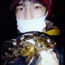 神戸港でロックフィッシュゲーム、ウィードを狙うと連発！