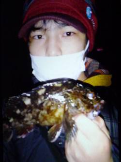 神戸港でロックフィッシュゲーム、ウィードを…