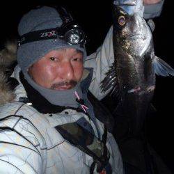 舞洲周辺メバリングに行って参りました♪