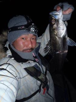 舞洲周辺メバリングに行って参りました♪