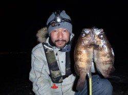 舞洲でメバリング、マグバイトのアッパーカットやってくれます！！