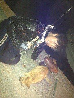 夕マズメに深日でメバリング、活性がよい日でした♪