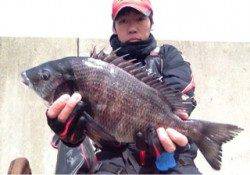 渡船利用でフカセ釣り、49cmを頭に4枚☆