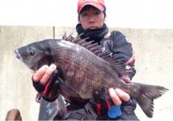 渡船利用でフカセ釣り、49cmを頭に4枚☆…