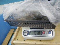 市江崎でヤエン釣り、アオリイカ2.22kg ↑