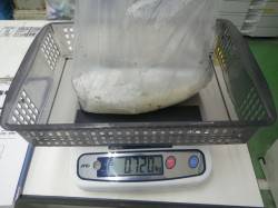 すさみの堤防でヤエン、アオリイカ720g