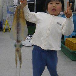 すさみ ヤエンでアオリイカ〜1.355g3杯