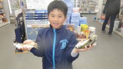 堺堤防 サビキで良型アジゲット