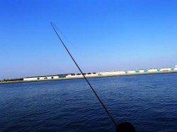 大津川川尻高場手前のテトラではハネ好調！