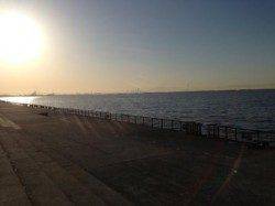 【満潮すぎからハネ釣れだす！】南芦屋浜リアル