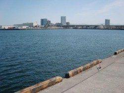 アブ新 泉大津3つのポイントへ