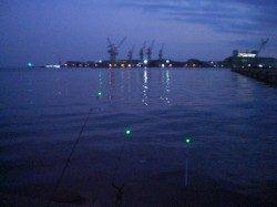 兵突のゴールデンタイムのエビ撒き釣り！