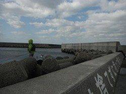 北風に強い!西宮ケーソンRT